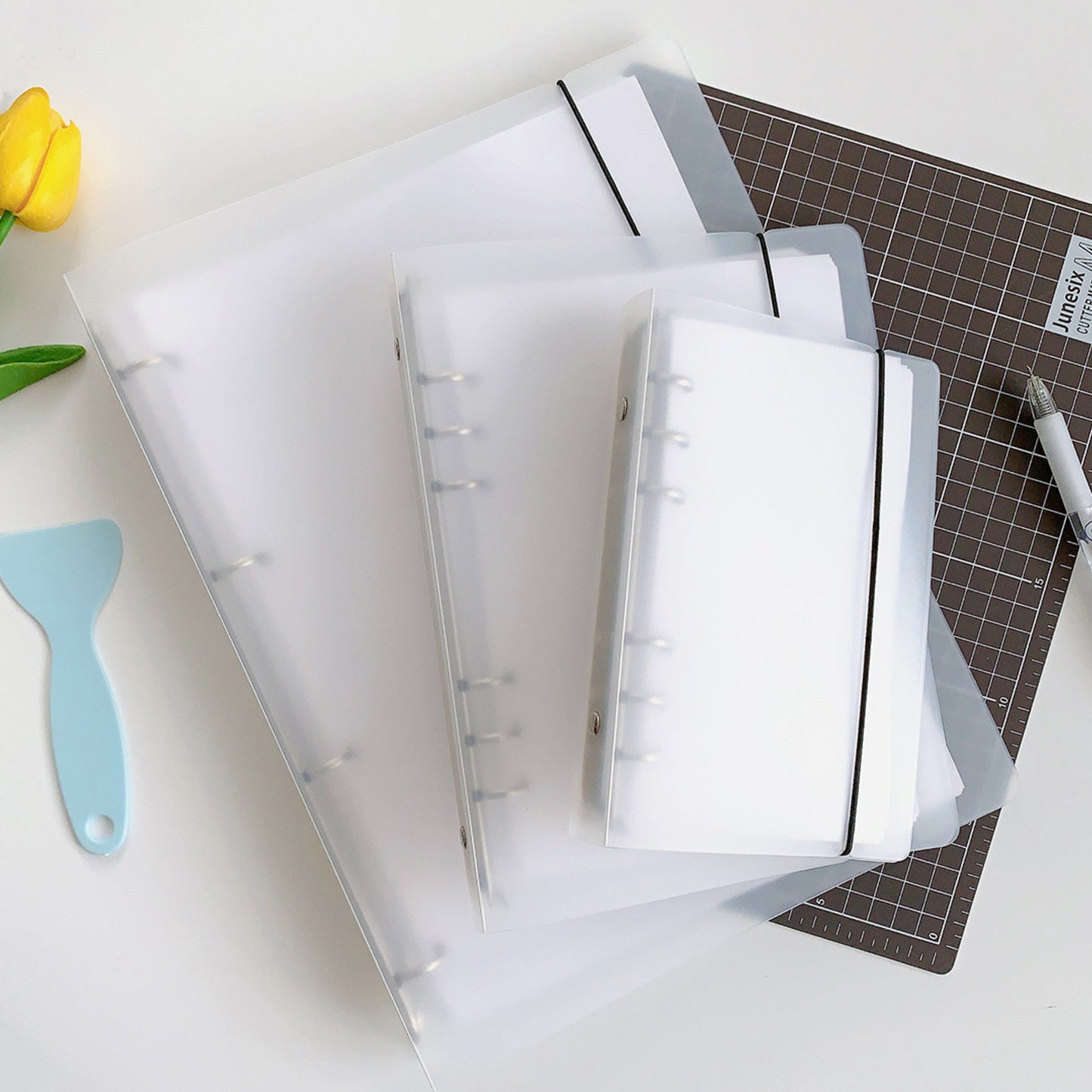A4 Loop Binder Transqarent Card Album/ Storage Album