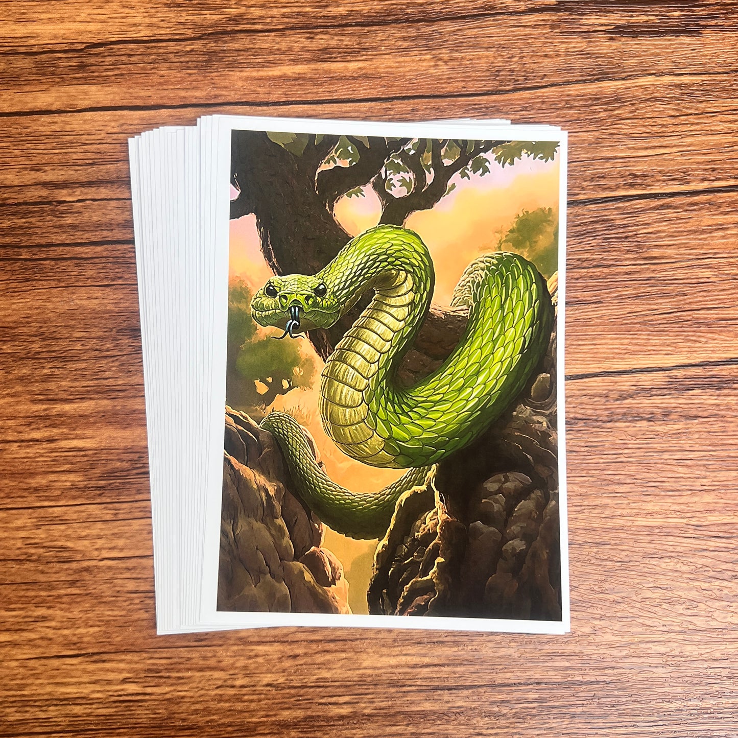 06—— Snake 20 non-repetitive A6 high-definition sheets of paper(out of box)