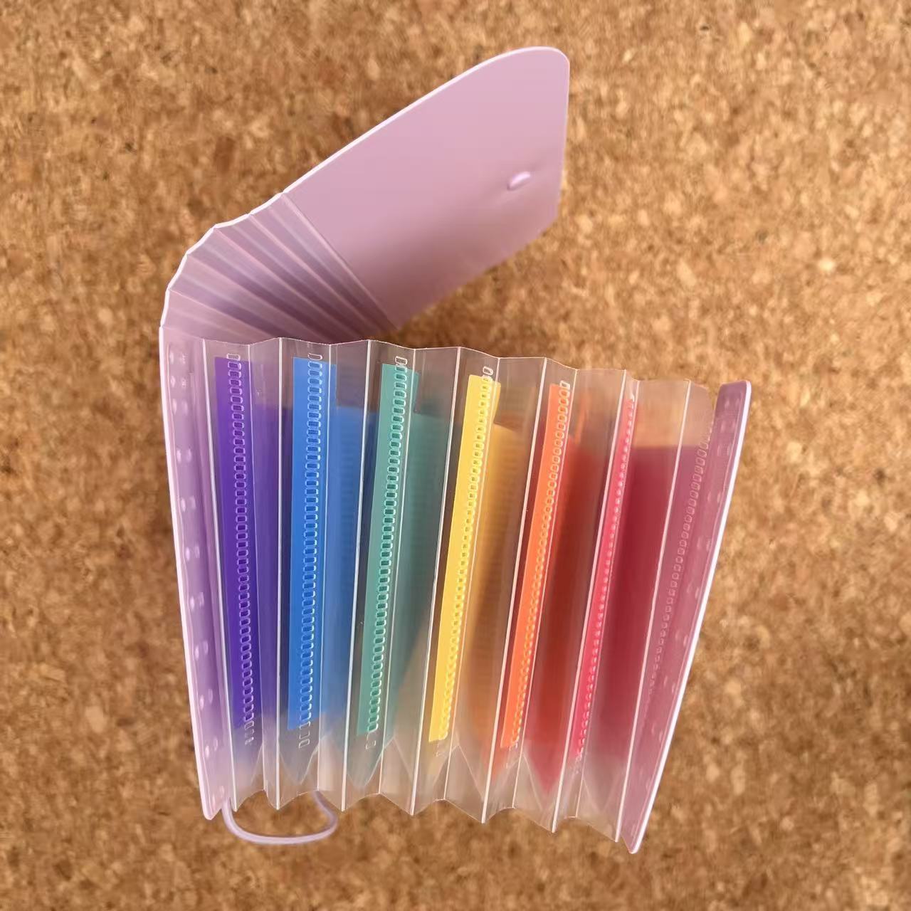 Accordion Bag Storage Album