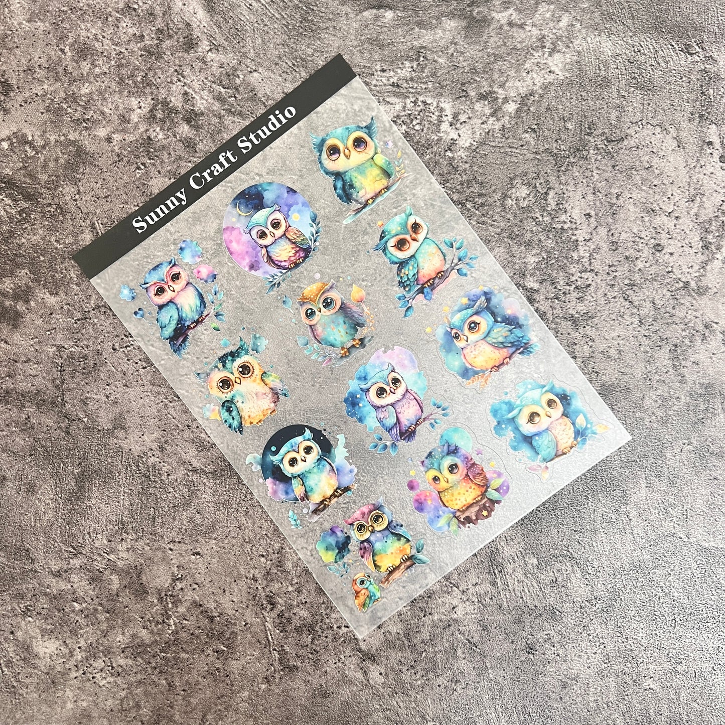 12---Owl PET Sticker 1 Pcs