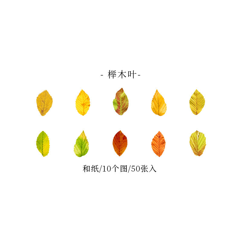 Tape---Botanical Theme《Champs-Élysées Falling Leaves Series》