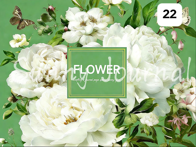 Choice of Custom Wooden Box Designs