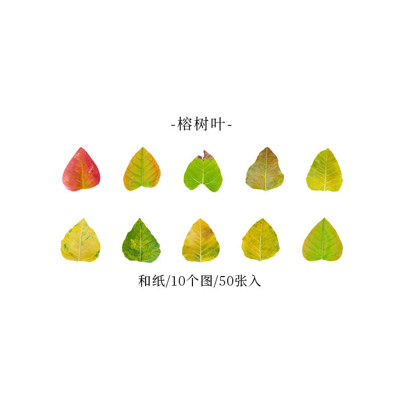 Tape---Botanical Theme《Champs-Élysées Falling Leaves Series》